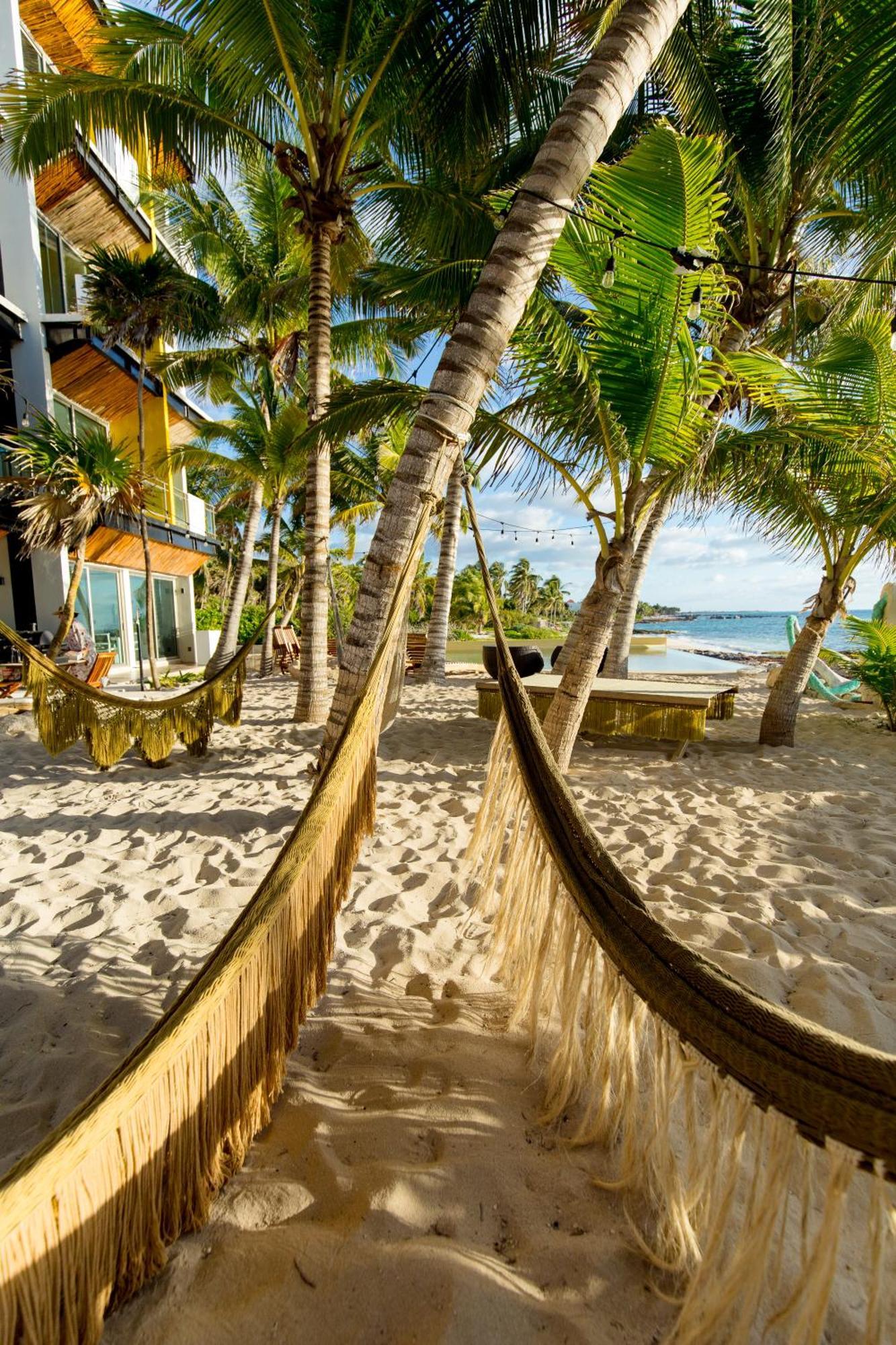 Angelina 28 Beachfront And Family Apartments - Modern And Relaxing Long Stays - 20 Min From Cancun Airport 莫雷洛斯港 外观 照片