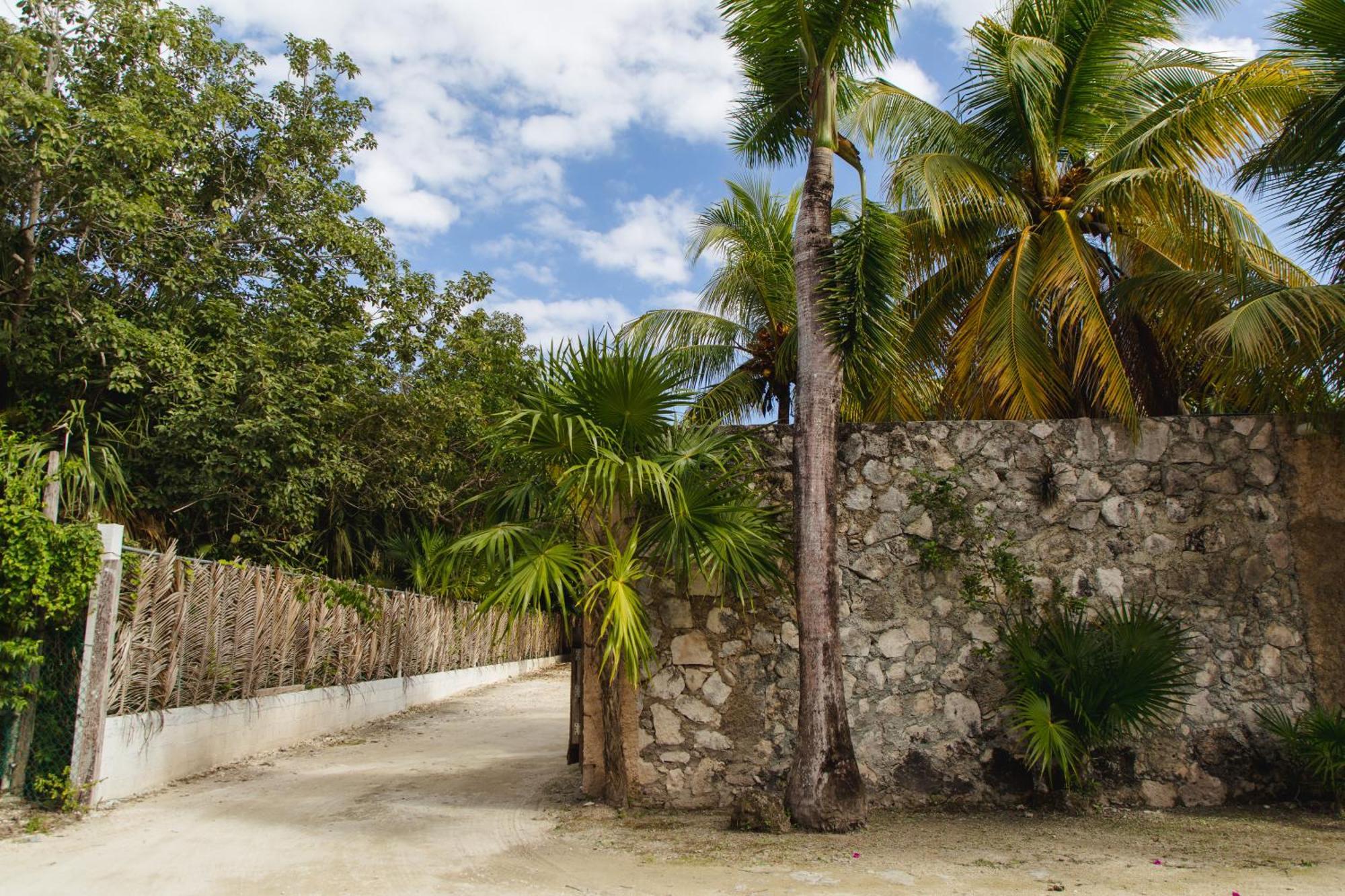 Angelina 28 Beachfront And Family Apartments - Modern And Relaxing Long Stays - 20 Min From Cancun Airport 莫雷洛斯港 外观 照片