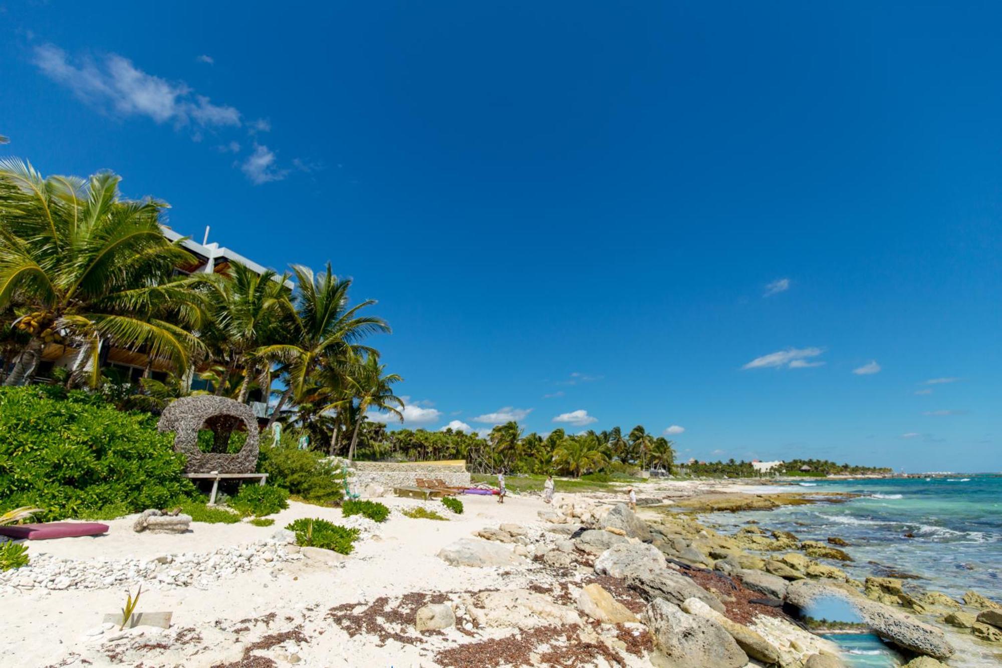 Angelina 28 Beachfront And Family Apartments - Modern And Relaxing Long Stays - 20 Min From Cancun Airport 莫雷洛斯港 外观 照片